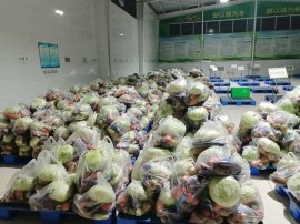 西安蔬菜配送-生鮮食材夏季如何